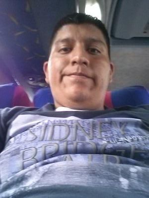 disenador grafico