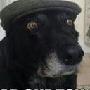 Gregory DeLeon - @gregorydeleon08 - Twitter