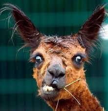 DarrenSpence76's profile picture. 