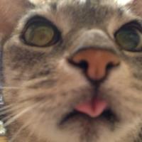 Shiz (@ocizuko) 's Twitter Profile Photo Shiz (@ocizuko) 's Twitter Profile Photo