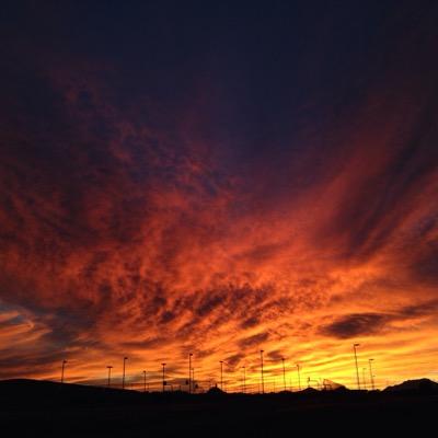 TriumphantTactx's profile picture. What does it mean to win? Tougher than the hurt. Resisting unto bloodshed. Relaunched online in 2015 to encourage modern warriors in the real world. Honor.