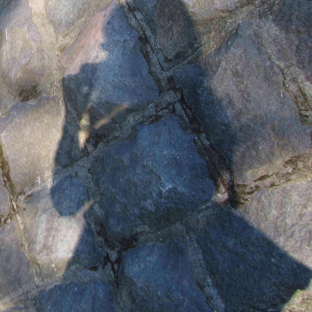 theodesigned's profile picture. 