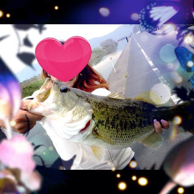 senakun_com's profile picture. 車とバス釣り