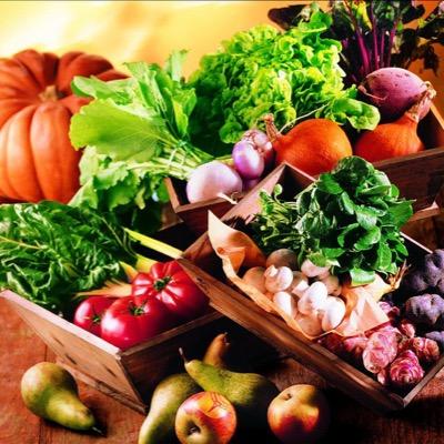 Vgtal_Vgan's profile picture. Végétalienne en herbe.