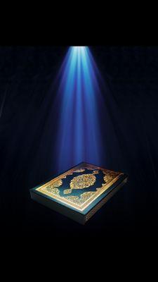 no__king's profile picture. Allah is  the king