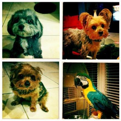 EllenStern1's profile picture. Retired Special Needs  teacher