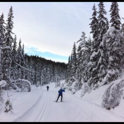 MoenLid's profile picture. 