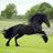 abg_vallejo's profile image