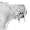 Boo - @BooDavid2999 - Twitter