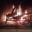 Michele Piper - @Seachele7 - Twitter