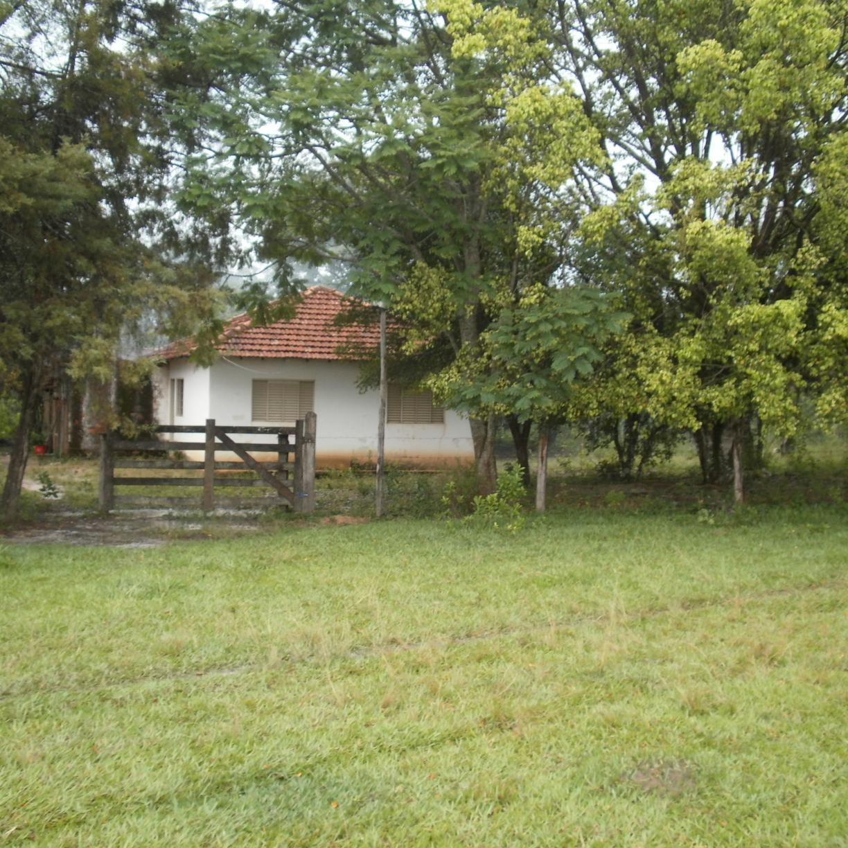 Wesley_Ama's profile picture. 