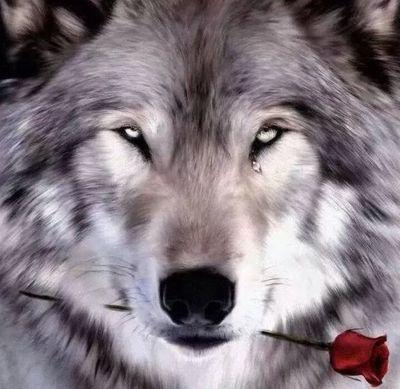 #Betalab segue que eu sigo de volta.
https://t.co/VtKQIqP4f4