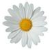 Karen Hampton (@khampton913) Twitter profile photo Karen Hampton (@khampton913) Twitter profile photo