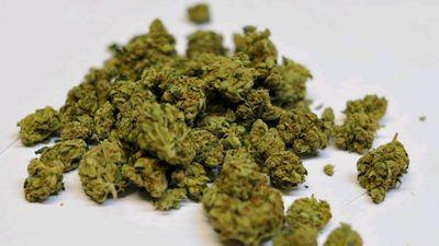 2317868's profile picture. smoke  weed  get  hi