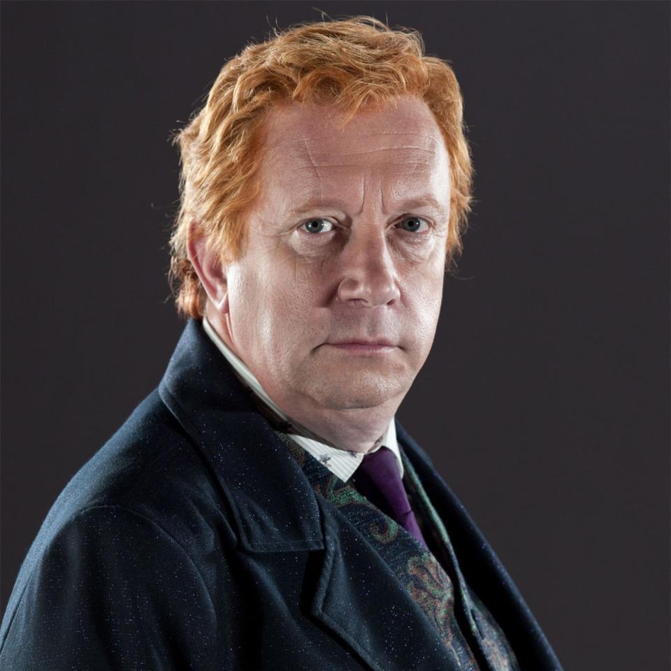I work at the Ministry of Magic. My wife is @PureBloodMolly. We have seven children and we look after @HarryJPotter_DH「#HᴀʀʀʏPᴏᴛᴛᴇʀ」#DɪʌƅʅơFɪɾє❖