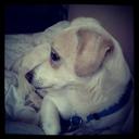 Keren Tal - @__ktal - Twitter