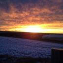 Dani Cox - @coloradokarac - Twitter