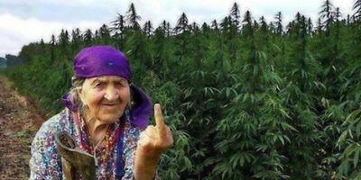 Smokin' dope since 52 and fuckin' your bitch since last night