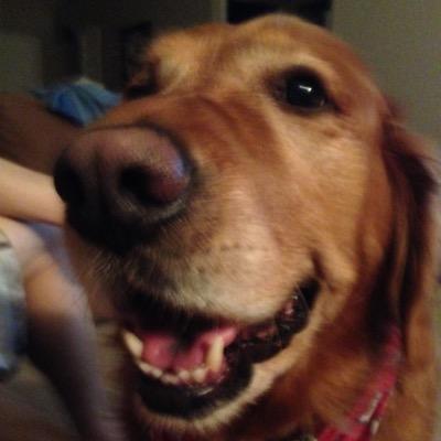 Official Twitter account of Jason Friz