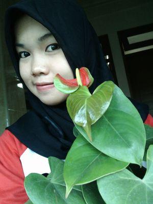 01november