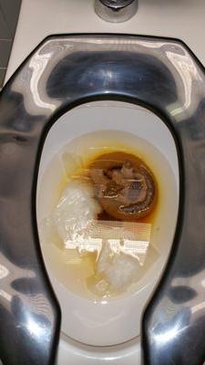 The_PhantomShit's profile picture. Fat Bastard has nothing on the caliber of my stall destroying abilities.  Janitors quit jobs over this. Send your Phantom Shit photos to PhantomShitter@svk.jp