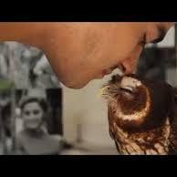 shehryaranwer8's profile picture. 