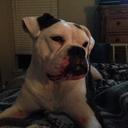 Mica Lee - @themicalee - Twitter