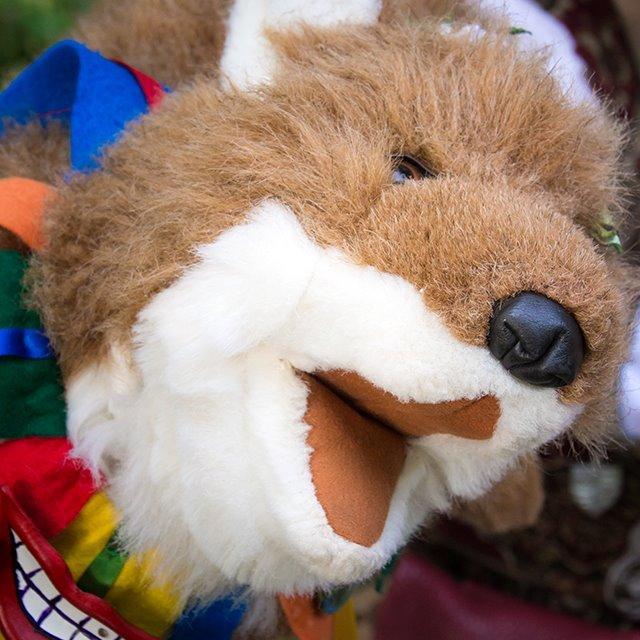 FoxenTweet's profile picture. Just a little Fox in a big world, I look at fings from a child's eyes.  Of course I do; I'm only six.  If you're tired of the grown-up world, come romp wif me.