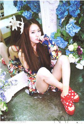 정 수 정 [Krystal] | #AKINGDOM #94SQ #EXO12 #SMOFC #3IN1 #ΔNUFAMS