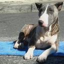 Gerald Chacon - @4d56e171d1cb48c - Twitter