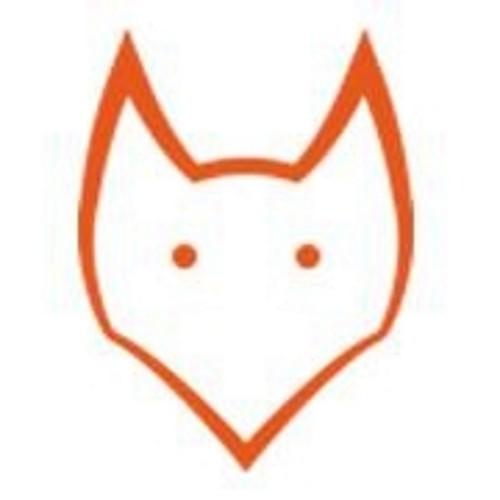 We are FoxOut Games, a small Games Development Company run by Caoilfhionn Fox & Maelys Soitout.
http://t.co/nH5Jx7xpTH