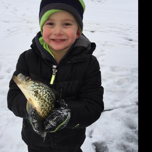 andymoll23's profile picture. 