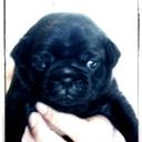 Mélanie Wicks - @mel6521 - Twitter