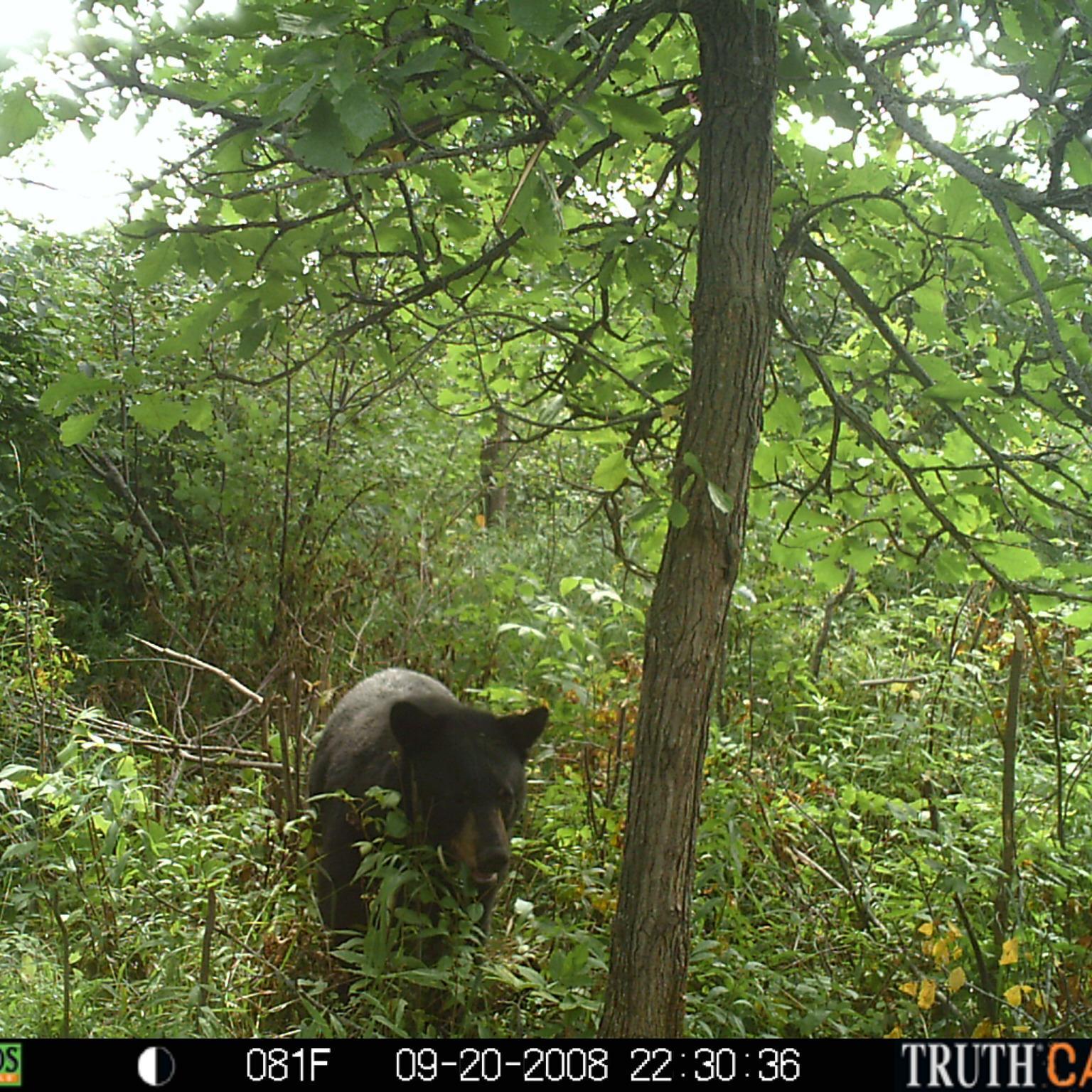 rmarberg's profile picture. 