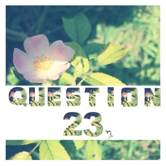 _question23's profile picture. helpful topics, opinions & whatnot.
challenging you to love yourself.
peace✌️
http://t.co/QLeK45XjQM