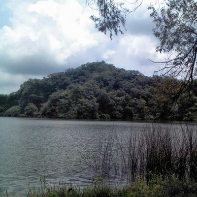 Erizo2000's profile picture. 