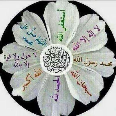 memo30_70's profile picture. مستشارة تطوير وبناء قدرات بالقطاع الرابح .