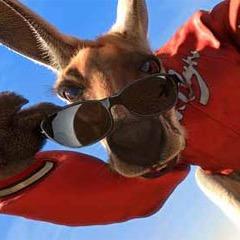 Imma kangaroo bitches