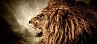 _Kalzs's profile picture. What Is Up My Name Is Jack Brian Also Known As Kalzs And I Love Trickshotting #FaZeLinkzyLuck #RedGandiLuck #FaZeReplaysLuck #RedVizorLuck #FaZeBlazikenLuck