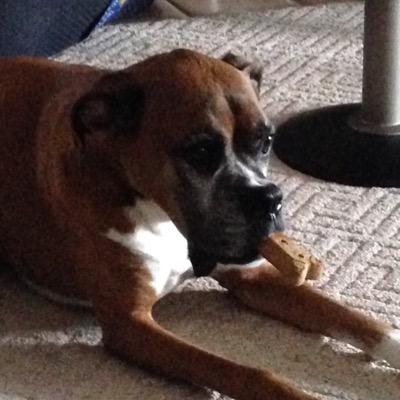 lfacc723's profile picture. 