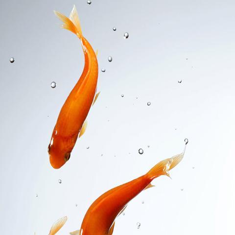 jidanydetafe's profile picture. Amateur travel fan