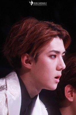 raihanamandee's profile picture. Osum | Wanderer | Fangirl