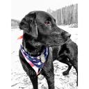 Kip  - @KipDean3 - Twitter