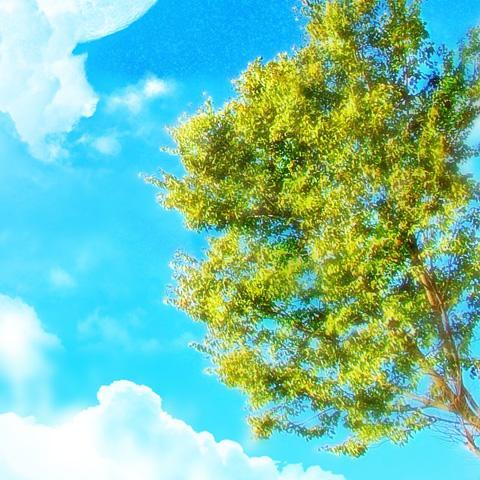 hetejexewag's profile picture. Subtly charming twitter nerd