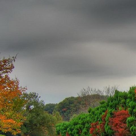 fevysaliduxy's profile picture. Infuriatingly humble student