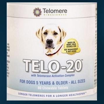 #Telomerase activation supplements for your dog from the core of Nobel Prize #Telomere science to lengthen the HealthSpan of man's best friend.