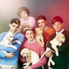 ayudeyaa_direct's profile picture. I Love One Direction, Love Myself. Nerds, Directioner