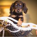 Mason Mackenzie - @MasonMack15 - Twitter