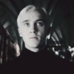 DracoM_CDR's profile picture. Slytherin con lengua de serpiente. •There is a hell, believe me I have seen it.• ¡Mi padre se enterará de esto!