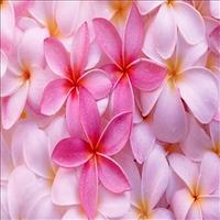 بنت عنيزه (@rt_ly55) 's Twitter Profile